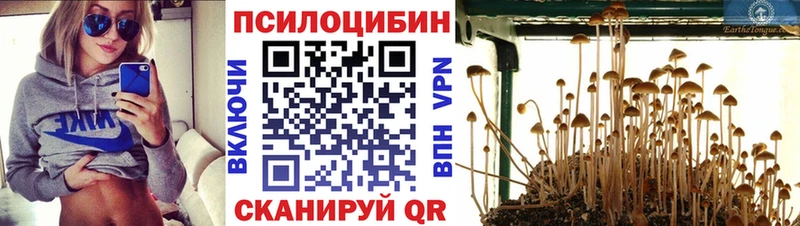 Псилоцибиновые грибы Cubensis Волгодонск